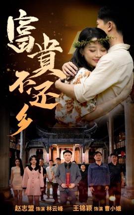 富贵不还乡 (2024)-多米联创