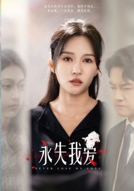 永失我爱 (2024)-多米联创