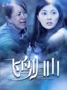 飞鸟归山 (2024)-多米联创