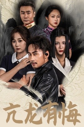 亢龙有悔 (2024)-多米联创
