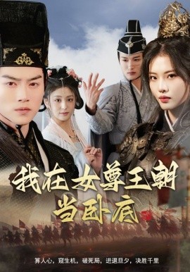 我在女尊王朝当卧底（99集）都钊&董洁＆张思琦＆李芊乐 (2025)-多米联创