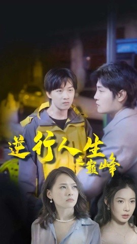 逆袭人生之巅峰 (2024)-多米联创