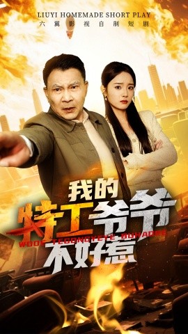 我的特工爷爷不好惹（68集）(2025)-多米联创