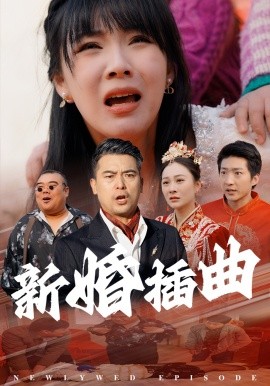 新婚插曲 (2025)-多米联创
