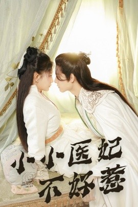 小小医妃不好惹 (2025)-多米联创