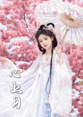 心上月 (2025)-多米联创