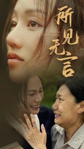 所见无言 (2024)-多米联创