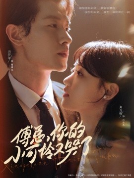 傅总，你的小可怜又哭了（80集）冯伊洋＆龚芳妮 (2025)-多米联创