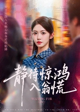 静待惊鸿入翁慌（40集）陈雷雷&吴毅非 (2025)-多米联创