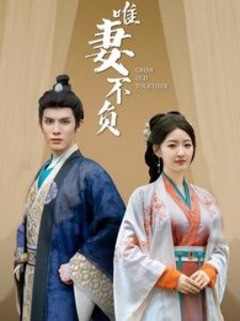 唯妻不负 (2025)-多米联创