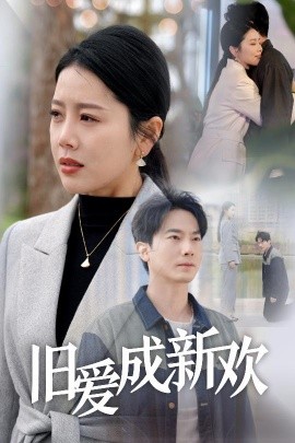 旧爱成新欢（30集）丁海霞 (2025)-多米联创