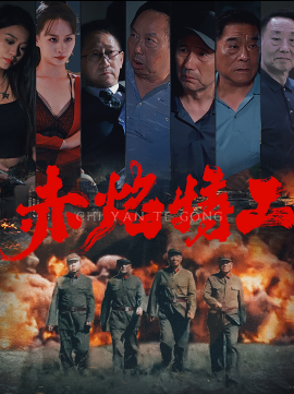 赤焰特工 (2024)-多米联创