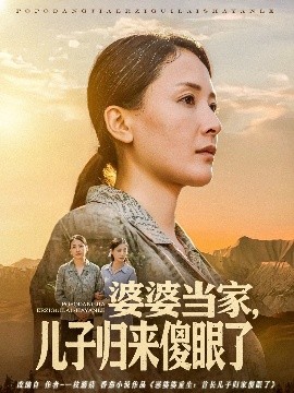 婆婆当家，儿子归来傻眼了（80集）王亚杰&张雨霏 (2025)-多米联创