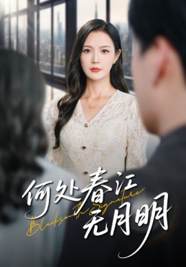 何处春江无月明（70集）(2025)-多米联创