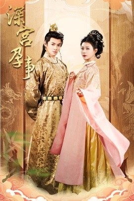 深宫孕事＆掌心娇（30集）吕岳＆杨谨羽 (2025)-多米联创