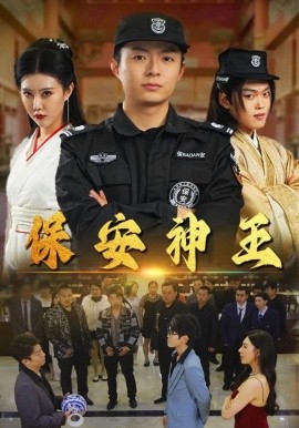 保安神王 (2024)-多米联创