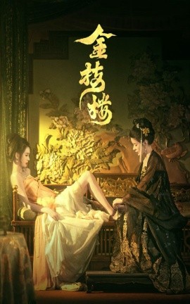 金枝楼 (2025)-多米联创