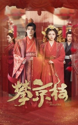 攀京枝 (2025)-多米联创