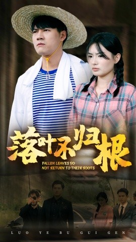 落叶不归根 (2024)-多米联创
