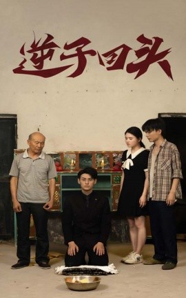逆子回头 (2024)-多米联创