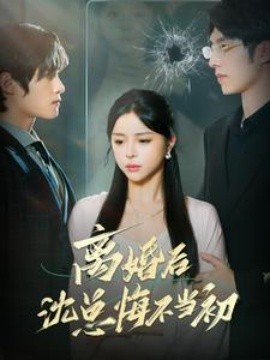 离婚后沈总悔不当初 (2024)-多米联创