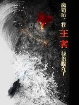 离婚后，我王者身份曝光了（80集）廖芯&杨泽琳 (2025)-多米联创