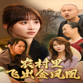 农村里飞出金凤凰 (2024)-多米联创