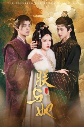 朕与她 (2025)-多米联创
