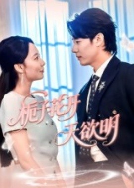栀子花开天欲明（34集）(2025)-多米联创