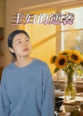 主妇的逆袭（28集）(2025)-多米联创