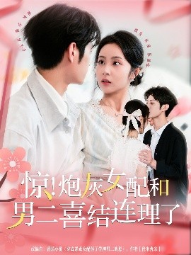 惊！炮灰女配和男二喜结连理了（91集）李亦丞＆姚慧 (2025)-多米联创