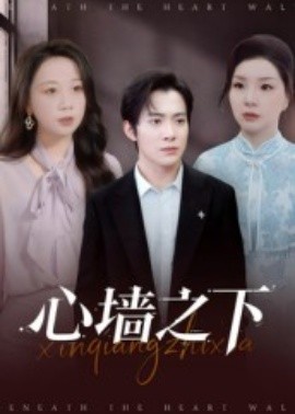 心墙之下（43集）赵宏甲&郑抒淼 (2025)-多米联创