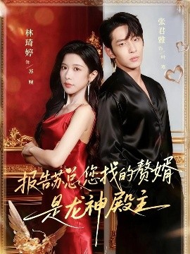 报告苏总，您找的赞婿是龙神殿主（72集）张君雅＆林琦婷 (2025)-多米联创