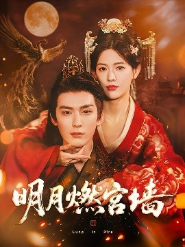 明月燃宫墙（60集）常喆宽＆姜钰佳 (2025)-多米联创