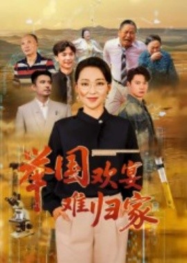 举国欢宴难归家（40集）(2025)-多米联创