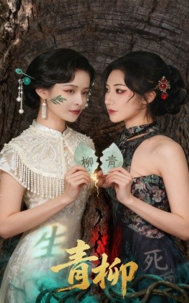 青柳（79集）沈国洋&王思瑾 (2025)-多米联创