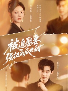 被迫娶妻，强扭的瓜也甜（73集）张力壬＆李婧也 (2025)-多米联创