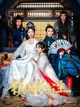 镇国长公主（63集）丁果&林永炬 (2025)-多米联创