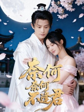 奈何奈何不逢君（57集）骆诗琪&刘润铭 (2025)-多米联创