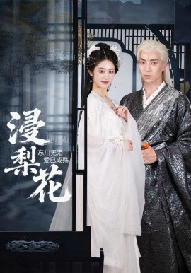 浸梨花（50集）傅汉源&戴琪萱 (2025)-多米联创