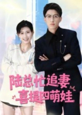 陆总忙追妻喜提四萌娃（60集）杨晓婷 (2025)-多米联创