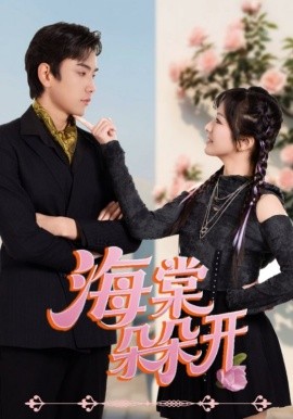 海棠朵朵开（64集）王子怡&熊云皓 (2025)-多米联创
