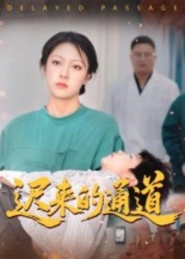 迟来的通道（30集）张永超 (2025)-多米联创