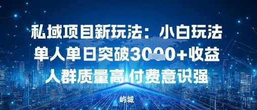 私域项目新玩法：小白玩法单人单日突破1k收益人群质量高付费意识强-多米联创