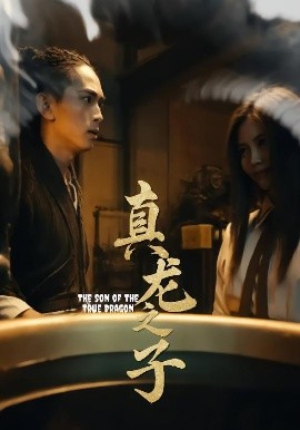 真龙之子&灵途&龙娘（20集）(2025)-多米联创