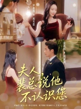 夫人，裴总说他不认识您（75集）张淇皓&尹晨攒 (2025)-多米联创
