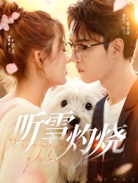 听雪灼烧（68集）希尔力＆刘美娜 (2025)-多米联创