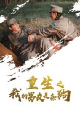 重生之我的男友是条狗（43集）(2025)-多米联创