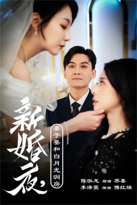 新婚夜，妻子要和白月光洞房 (2024)-58创客网