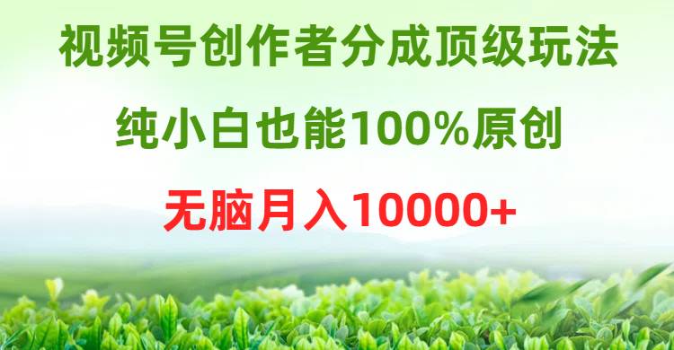 视频号创作者分成顶级玩法，纯小白也能100%原创，无脑月入10000+-58创客网